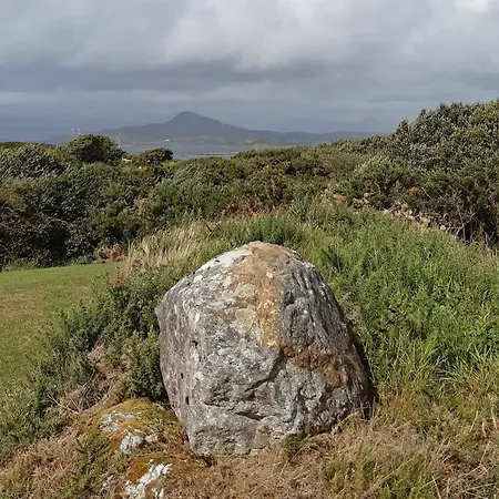 465 - Cashel * Carna